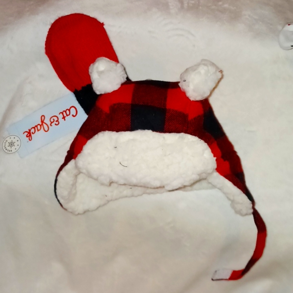 NWT... Cat and Jacket hat and gloves set
